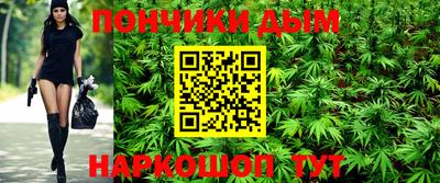 крисы Лесосибирск