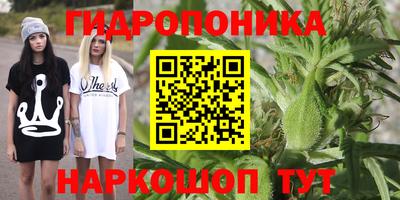 Альфа ПВП Ликино-Дулёво