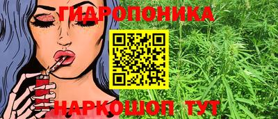 крисы Лесосибирск