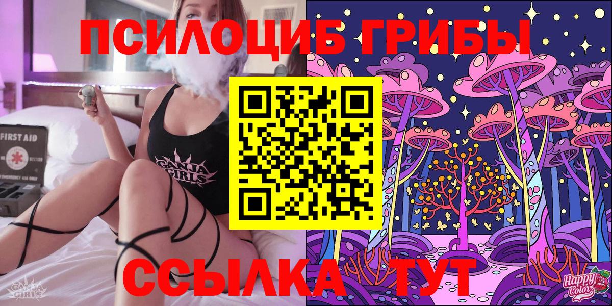 Галлюциногенные грибы Psilocybine cubensis Ярцево
